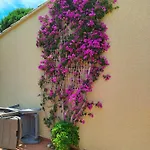 Apartment Proche Commerces Et Pavillon Tres Bien Equipe - 6ayg10 Saint-Cyprien (Pyrenees-Orientales)